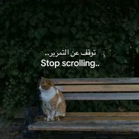 no_zero_days_