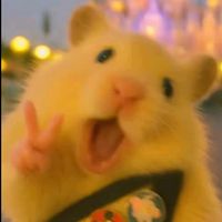 suara asli - Kelam Permai74