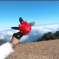 original sound - yinyinhtay463