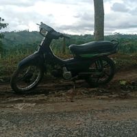 suara asli - jevi Rikardho