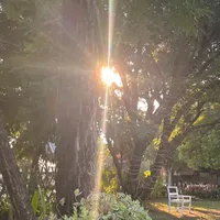 original sound - infleurr