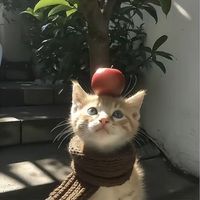 original sound - Tsawm Pan Htoi