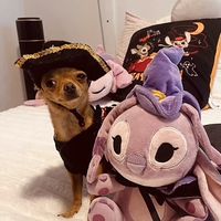 mollycienta02