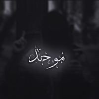 a_d_d_8_3
