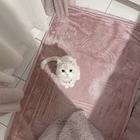 m____00003