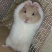 original sound - mylng 🇰🇭  មៃ៉អុីញ✨