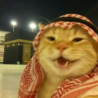 suara asli - D-XML