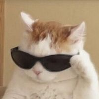 ساوندەکانی شێخە