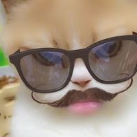 p4rlimy_123