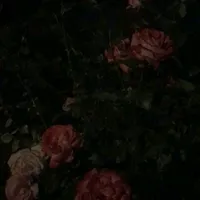 original sound - porntiwa788