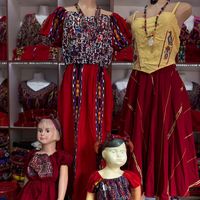 tipicossheylanebajgt