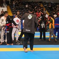 borgesbjj7