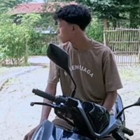 typr4243e55