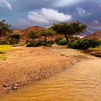 original sound - _abosamy_