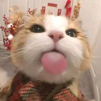 itsmihhuggggg