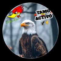 fatalesactivos00