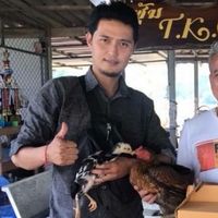 เสียงต้นฉบับ - พยาบาลน่ารัก