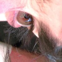 http.tom7