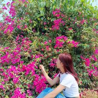 phyulay8800