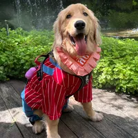 หน้าปกติ