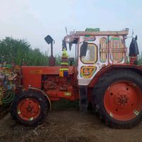 sadiqmari2