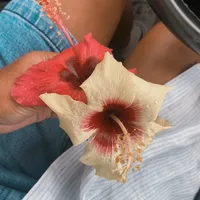 original sound - _.username0703