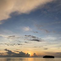poinciana26