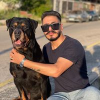 ward_hijazi