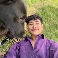 original sound - dhiraj_ghising