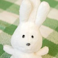 오리지널 사운드 - 정옌띤