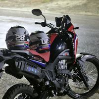 _vitorzz_300