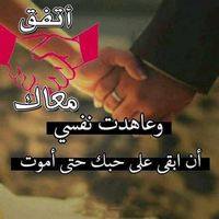 user6108026717197