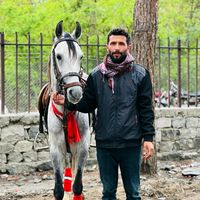 haider_faizan7252