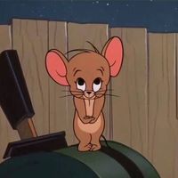 ilayissues