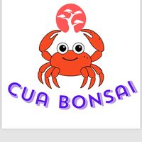 nhạc nền - Cua bonsai