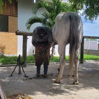 alberto.rodrigues0316