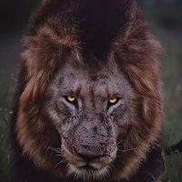 emir_baspinar3