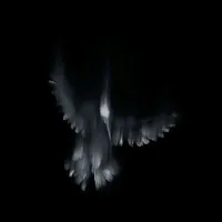 original sound - esen_yel_
