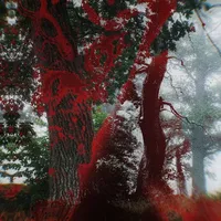 original sound - kery.vfx