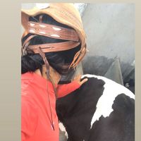 marysilva4674