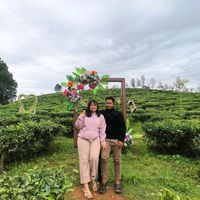 user.17022023