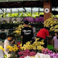 nhạc nền - Minh Sang ⚜️