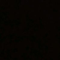 цифры ударили в голову holrits