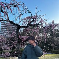 rayquill_