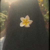 _your_sun_r