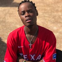 sir_elvis4