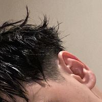 d3mian_fox