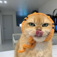 เสียงต้นฉบับ - Yamm ;]