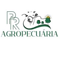 pauloriardo.fernandes