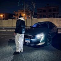 adelelsayed03